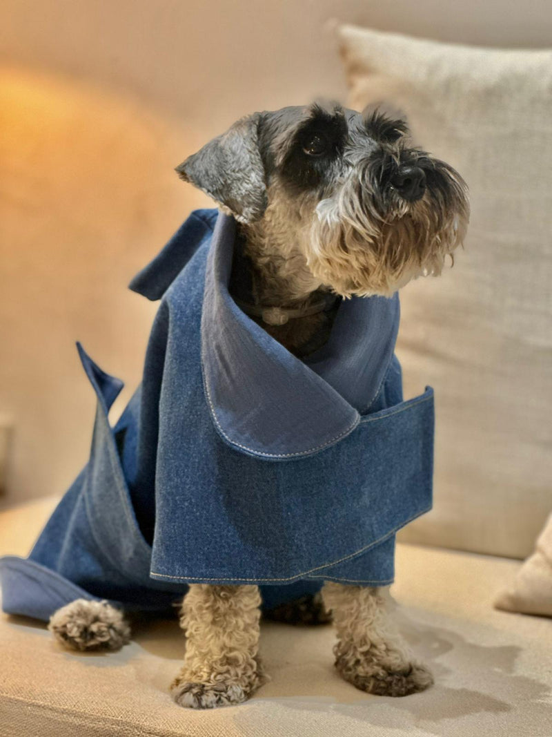 Denim Köpek Kıyafeti Ve Poşet Çantası